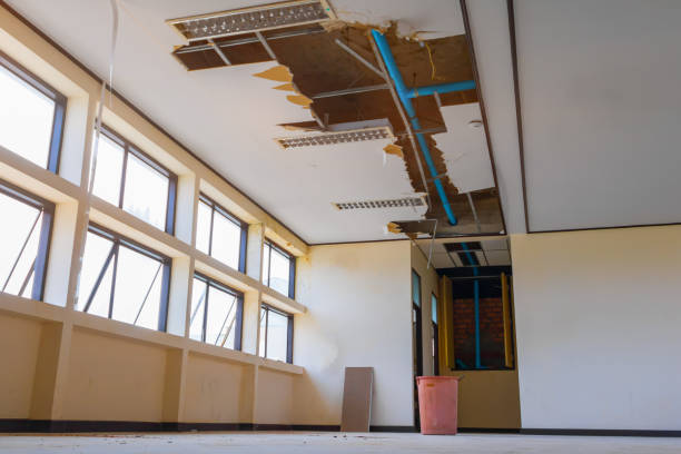 Best Basement water damage restoration  in Sagamore, MA