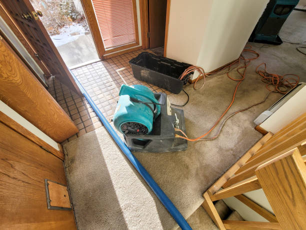 Best Water damage restoration near me  in Sagamore, MA