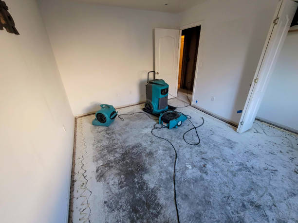 Best Flood restoration services  in Sagamore, MA