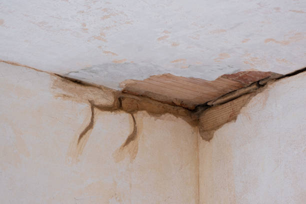 Best Local water damage restoration  in Sagamore, MA