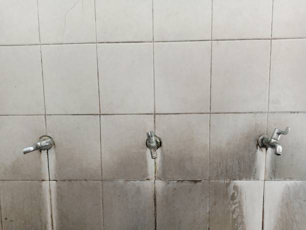 Best Flood damage cleanup  in Sagamore, MA