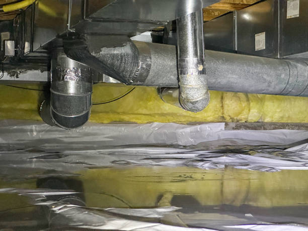 Best Professional water damage repair  in Sagamore, MA