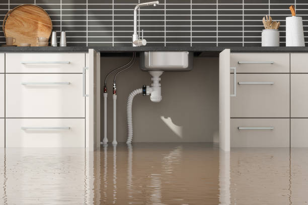 Trusted Sagamore, MA Water damage restoration Experts